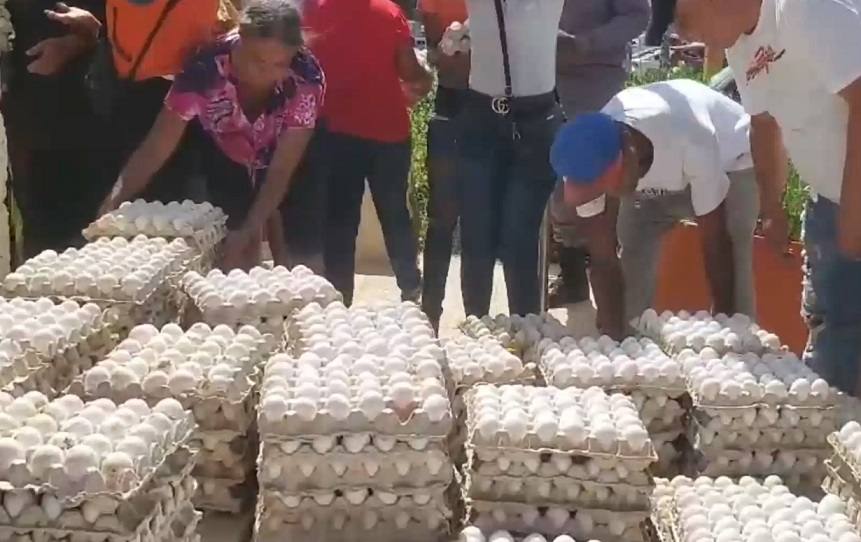 Avicultores reportan aumento de producción avícola y advierte presión por mayores costos