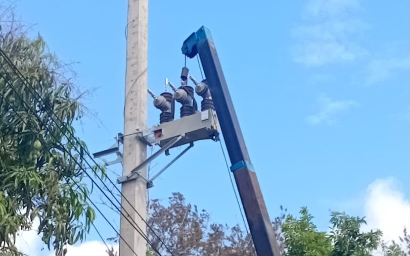 EDEEste avanza en modernización de su red eléctrica con la implementación de la primera fase del DAS*