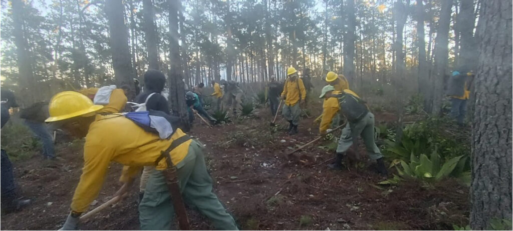OBSERVATORIO DE ÁREAS PROTEGIDAS ALERTA SOBRE UNA EMERGENCIA POR INCENDIOS FORESTALES EN REPÚBLICA DOMINICANA